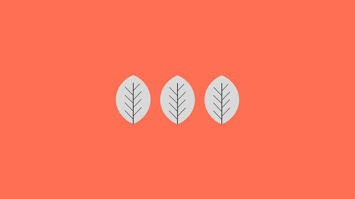 Minimalist leaves on coral background