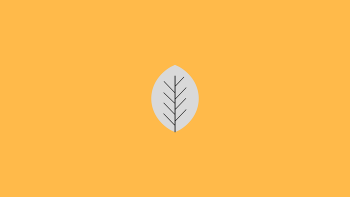 Minimalist leaf illustration on orange background