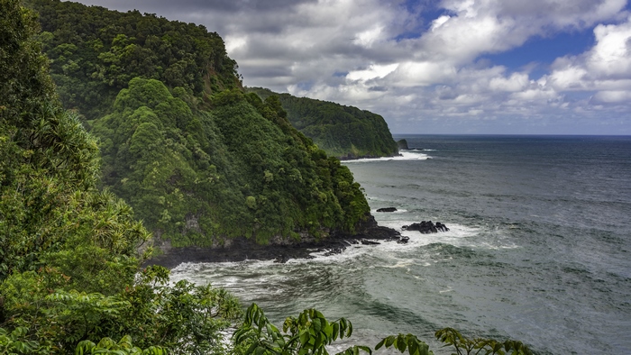 Tree covered mountains along a sea coast