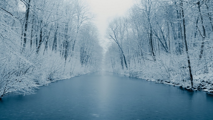 River Between Snow Covered Trees