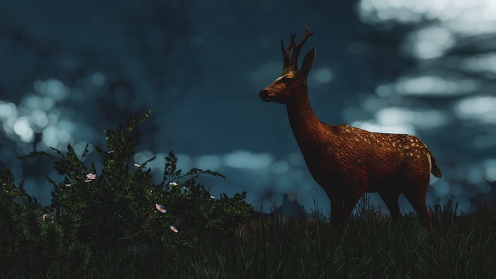 4K The Witcher 3: Wild Hunt Deer