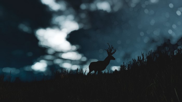 4K The Witcher 3: Wild Hunt deer at night