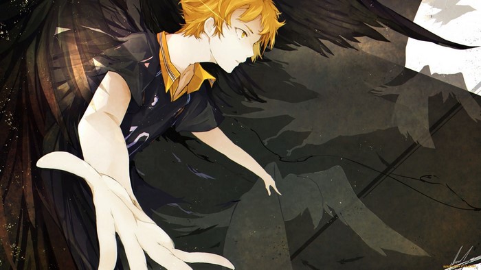 Hinata Shouyou from Haikyuu!! with black wings
