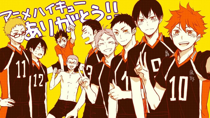 Haikyuu!! Team Karasuno Group Portrait