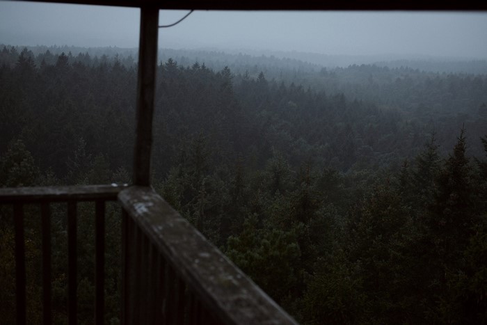 Misty forest viewed from a wooden balcony