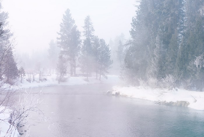 Misty winter morning by a river with snow-covered trees