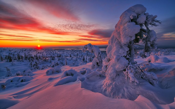 Winter sunset over snow-covered landscape with trees