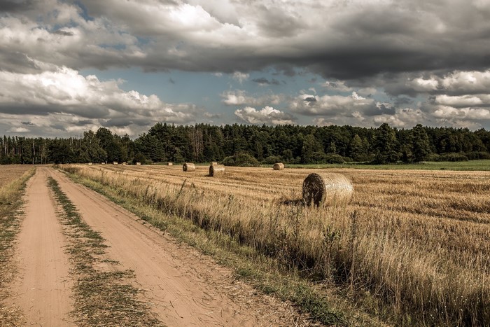 Dirt road through a harvested field with hay bales