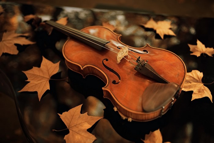 Violin with fall leaves