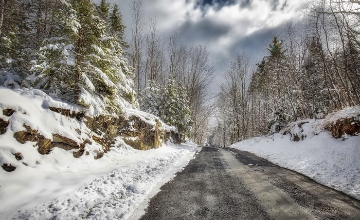 A snowy road winds through a winter forest