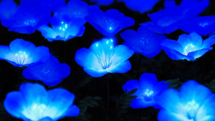 4K glowing blue flowers