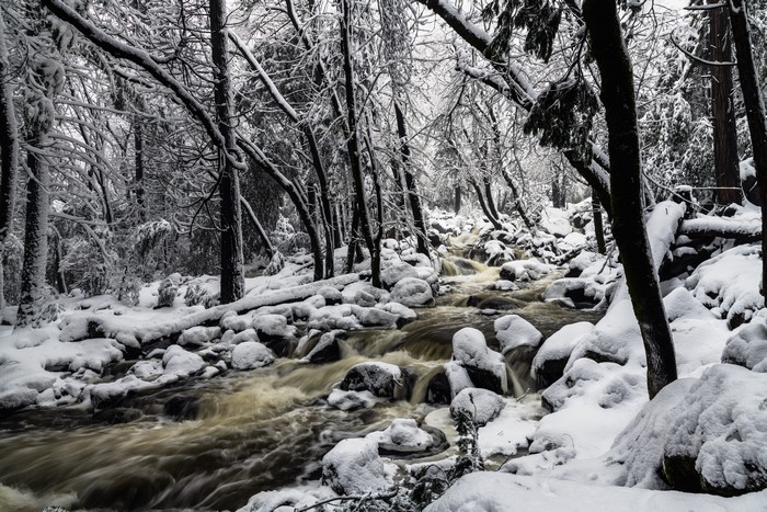 Winter stream flowing through a snow-covered forest