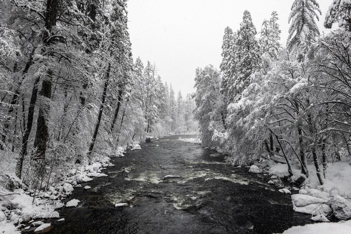 River flowing through a snow-covered forest in winter