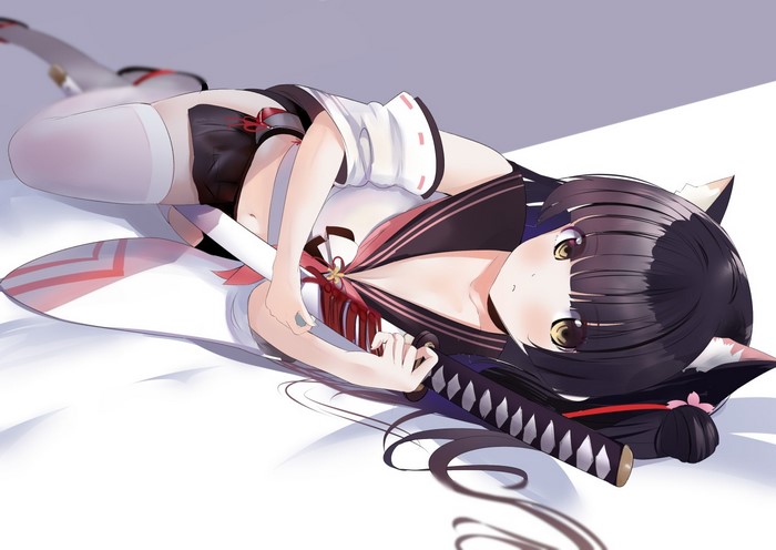 Anime girl with cat ears and sword