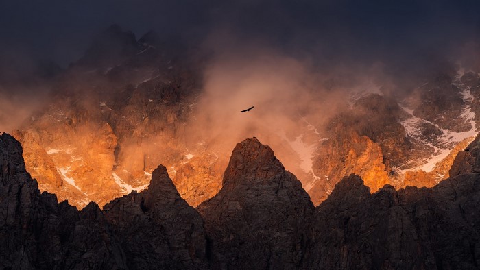 Eagle flying over sunlit mountains in Kyrgyzstan