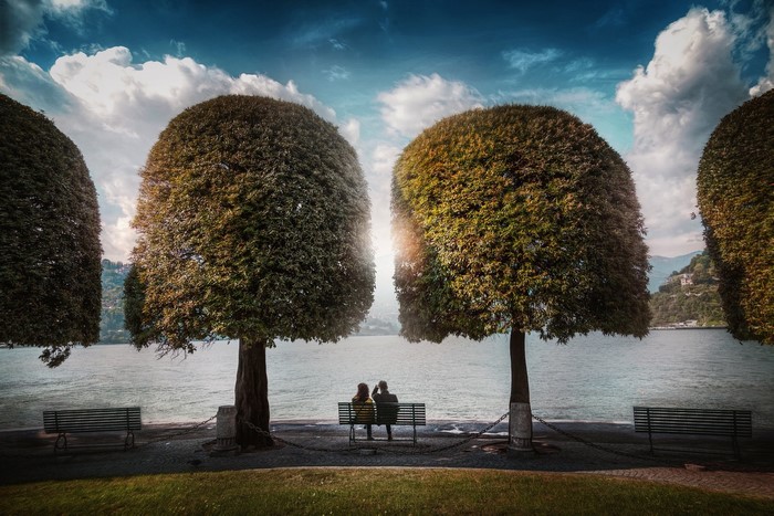 Couple sitting on a bench between trees by a lake