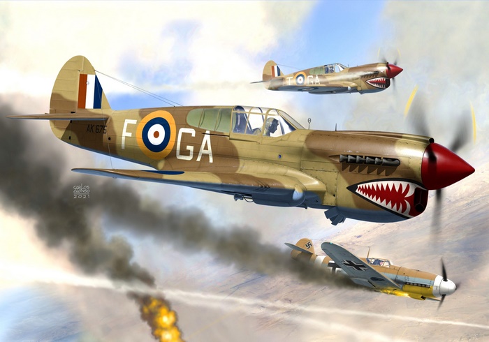 Curtiss P-40 Warhawk HD, Warplane, Aircraft, HD Wallpaper | Rare Gallery