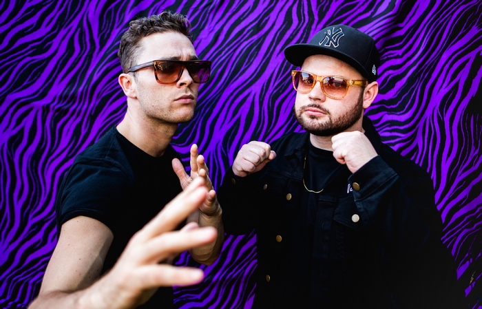 Royal Blood Duo Poses Against Purple Zebra Print