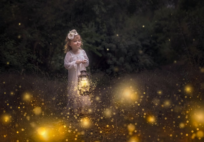 Girl holding a lantern in a magical forest