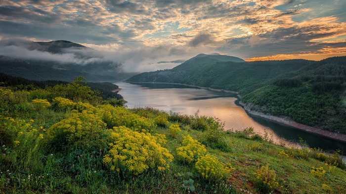 River valley with mountains and yellow flowers