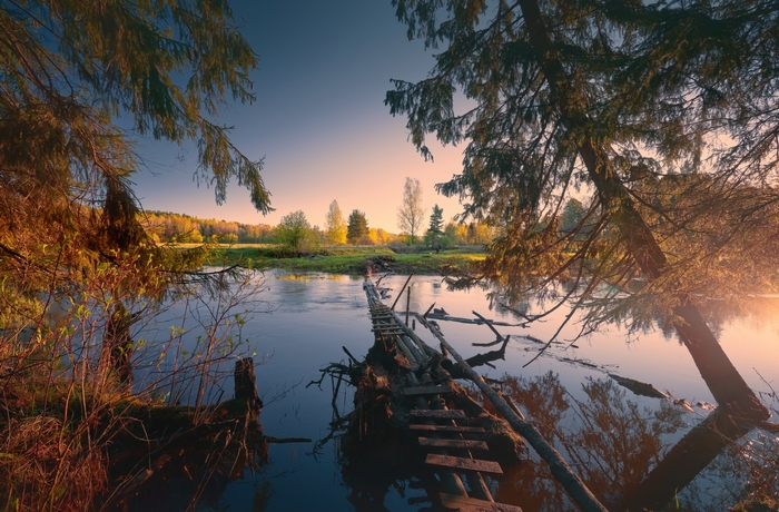 Dilapidated wooden bridge over a river at sunset