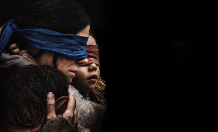 Bird Box 4K