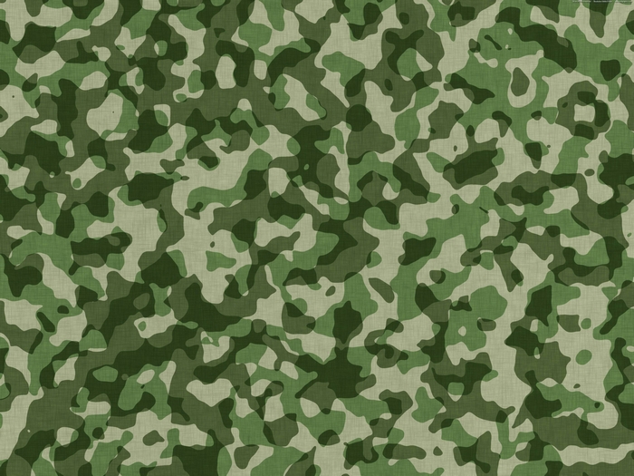 Green and brown camouflage pattern