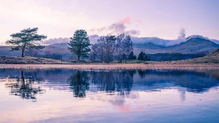Trees reflected in a lake with fog-covered mountains