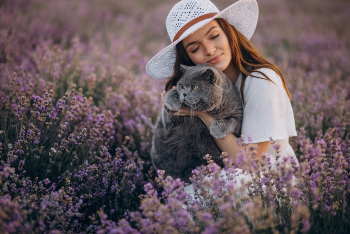 Woman in a hat holding a cat in a lavender field
