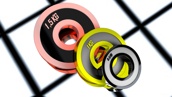 Three weight plates with different weights