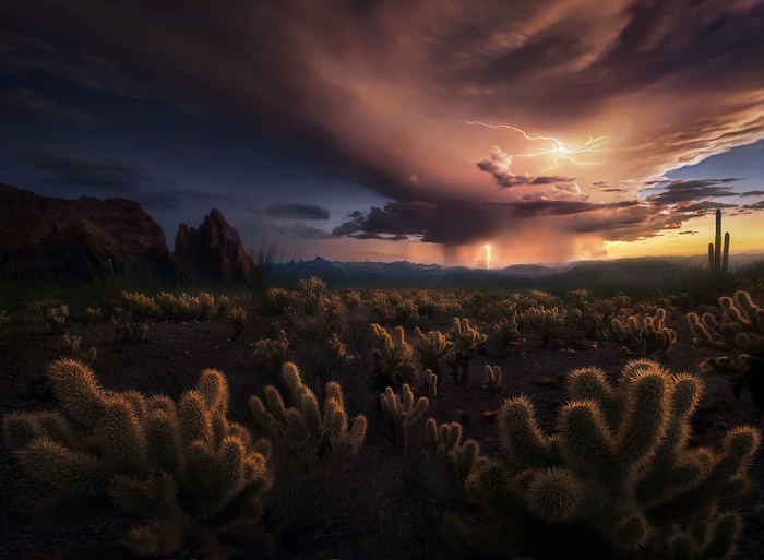 Desert storm with lightning over cacti