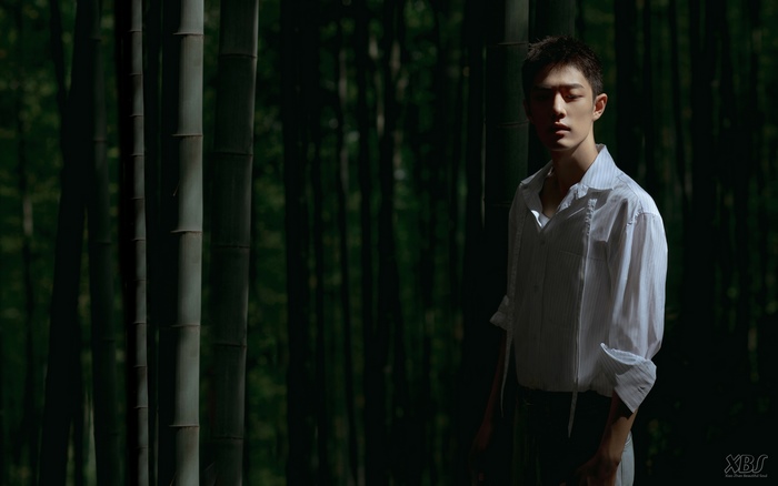Xiao Zhan in a bamboo forest