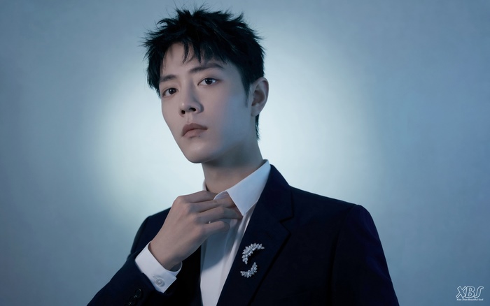 Xiao Zhan in a dark suit with a brooch