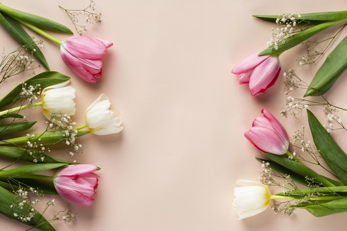 Pink and White Tulips with Baby's Breath