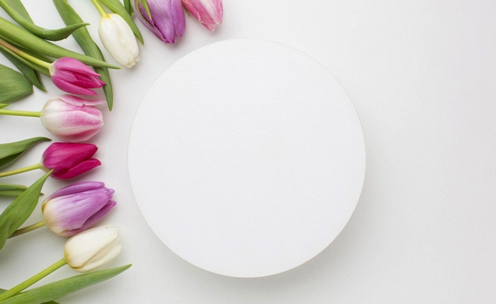 Pink, purple, and white tulips arranged next to a white circle