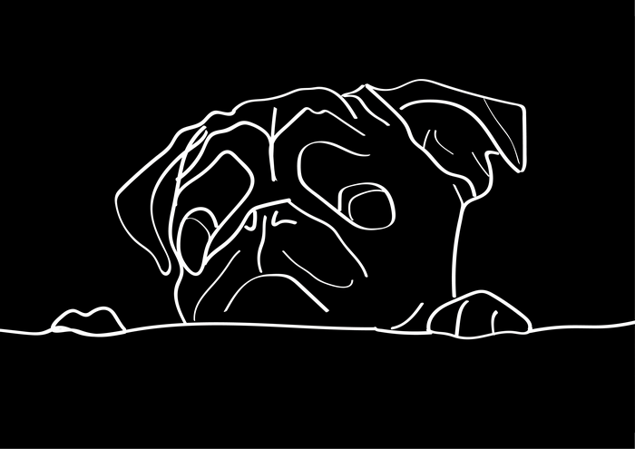 Pug Dog Digital Art 4K