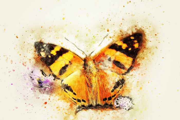 Artistic watercolor painting of a butterfly