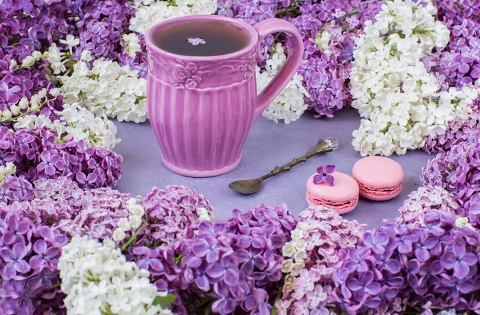 Tea cup with lilacs and macarons