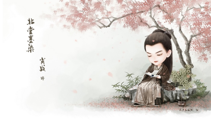 Chibi Xiao Zhan Reading Under a Cherry Blossom Tree