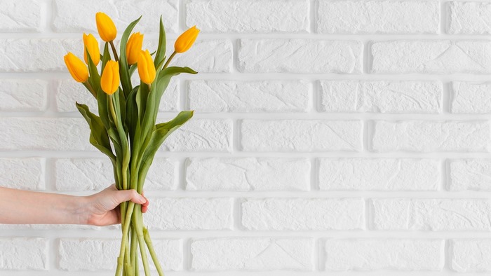 Yellow Tulips Held in Hand Against White Brick Wall