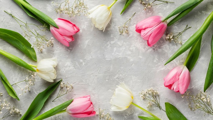 Pink and white tulips with baby's breath on a textured surface