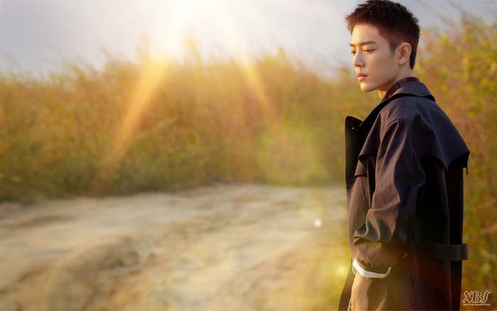 Xiao Zhan in a field with sun flares