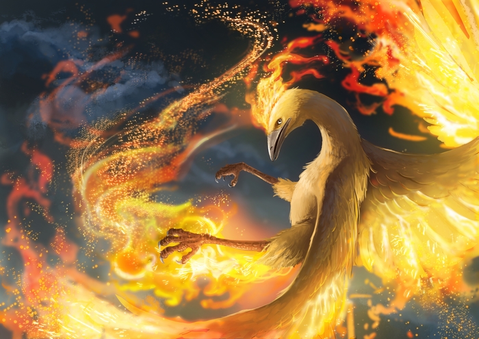 Moltres (Pokémon) 4K Fire Bird