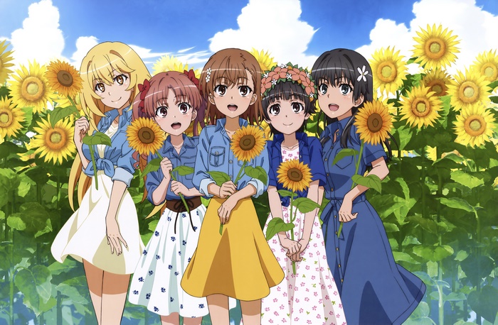 Mikoto Misaka and friends in a sunflower field