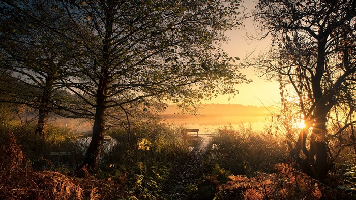 Sunset over a lake with trees and a pier