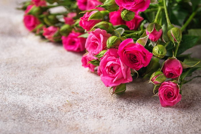 Pink roses on a textured surface