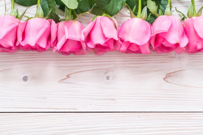 Pink Roses on a Wooden Surface