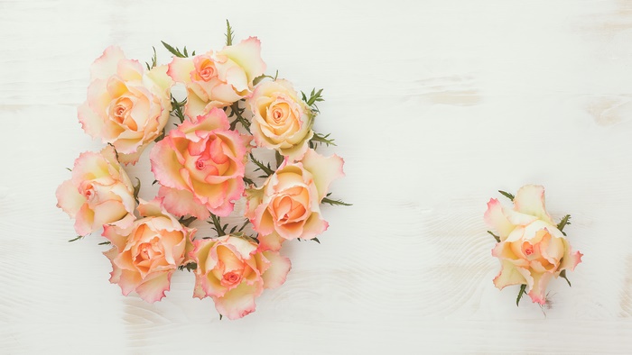 Peach and Pink Roses on White Wood