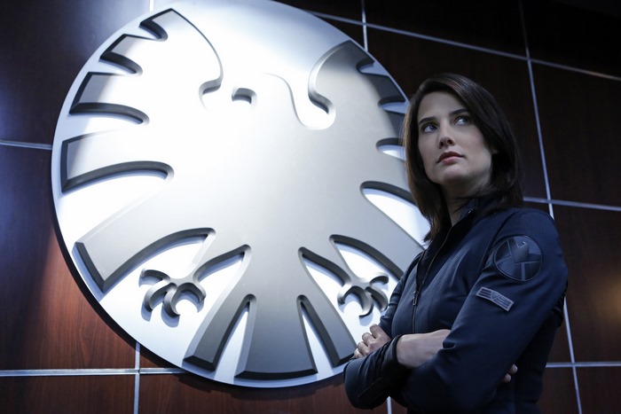 Maria Hill in front of the S.H.I.E.L.D. logo