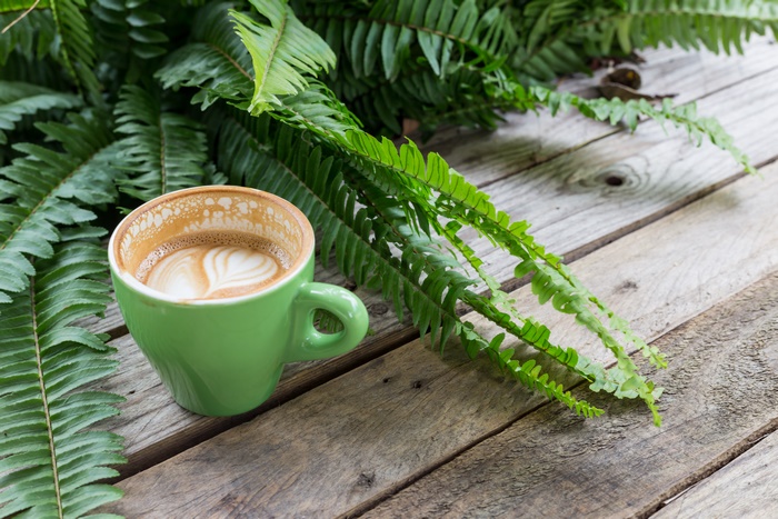 Green cup of coffee with latte art and ferns